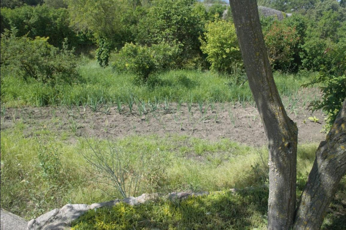 Masoveria La Roca Sagas المظهر الخارجي الصورة